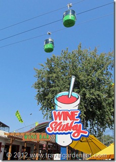 Wine Slushy at the MN State Fair