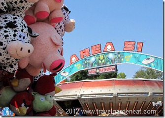 MN State Fair Midway