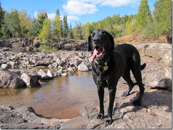 Gooseberry River, upriver from Fifth Falls ~ Minnesota