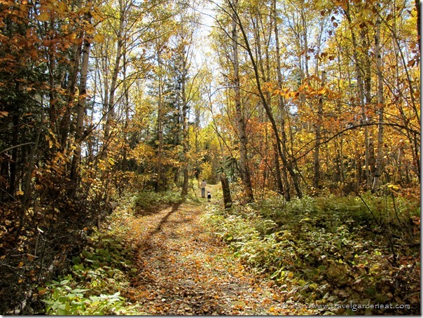 judge cr magney 5 9_29_12