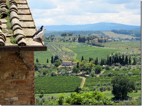A view from San Gimignano, Italy