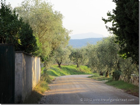 The peaceful, relaxing view close to the Villa del Cielo with Caminetto
