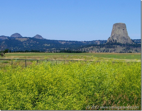 Devils Tower National Monument ~ Wyoming