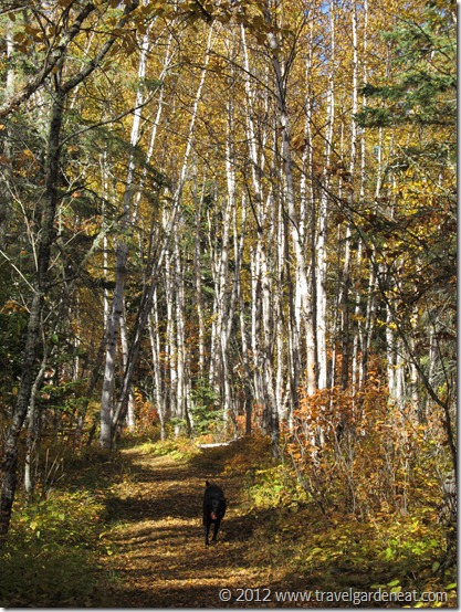 Timberdoodle Trail ~ Judge C.R. Magney State Park (Minnesota)
