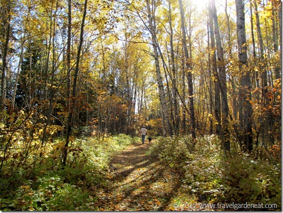 Timberdoodle Trail ~ Judge C.R. Magney State Park (Minnesota)