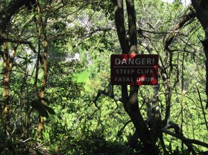 Along the Pipiwai Trail ~ Maui