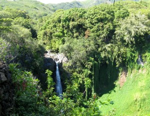 Makahiku Falls overlook on the Pipiwai Trail ~ Maui