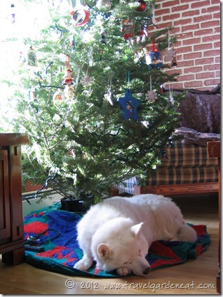 Christmas Tree ~ A Special Present Christmas Tree ~ A Special Present