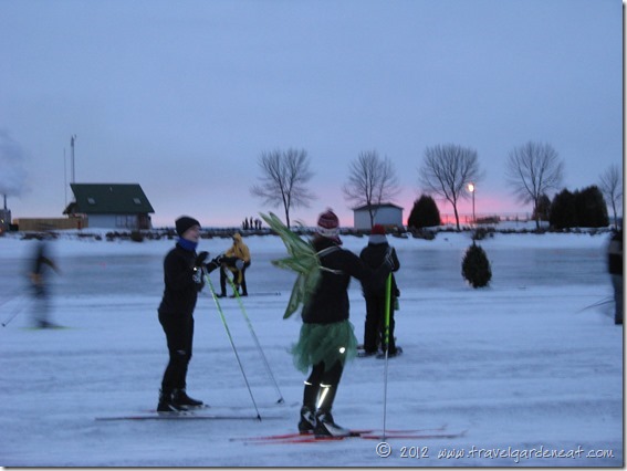 book across bay fairy 2011