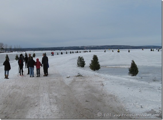 Book Across the Bay starting line 2011