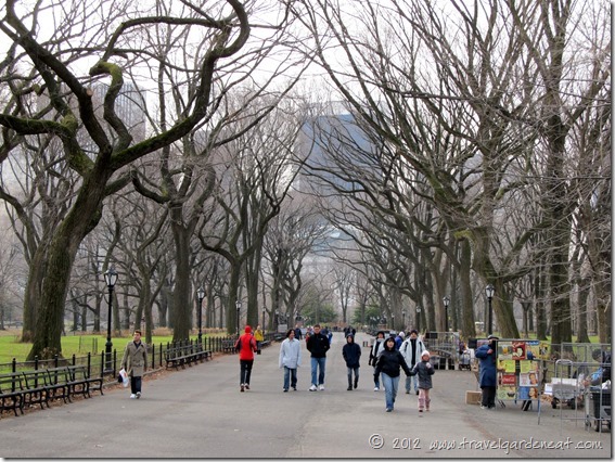 Running down Central Park's elm-lined Mall ~ New York City