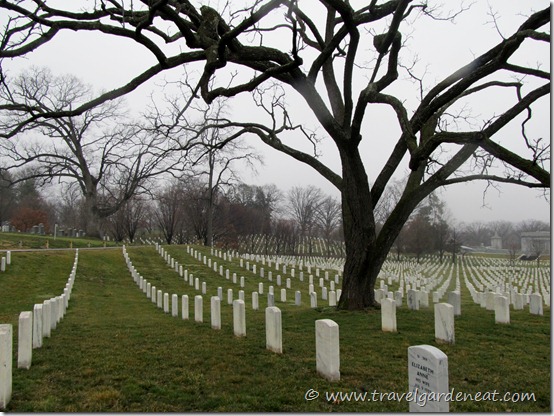 Arlington National Cemetery