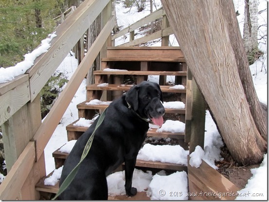 Gooseberry Falls State Park - trail to the Falls overlook