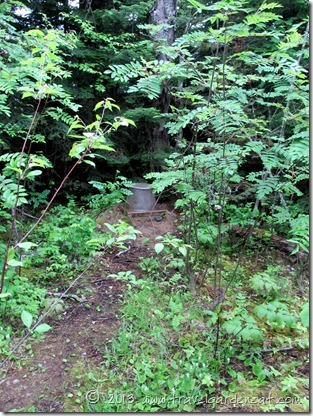 Our island campsite latrine. Our island campsite latrine.