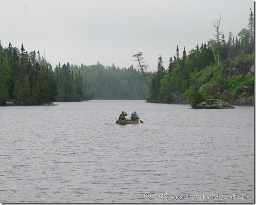 BWCA
