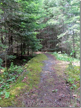 The path to the latrine