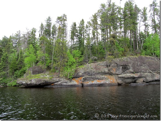 Shoreline of Long Island Lake, BWCA