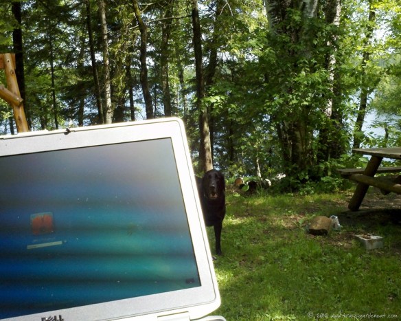 Working with a view Working with a view