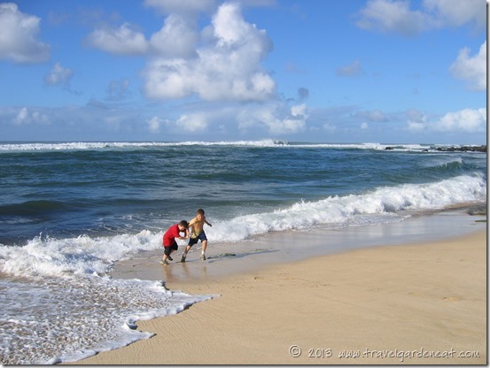 Chasing waves on the North Shore of Oahu