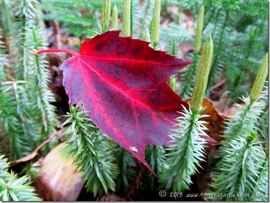 SHT sawmill 35 9_29_13