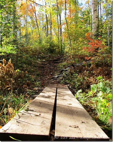 Section 13 trail on the Superior Hiking Trail