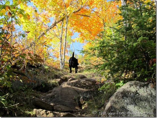 Cresting the hill to catch the view, Section 13 on the Superior Hiking Trail