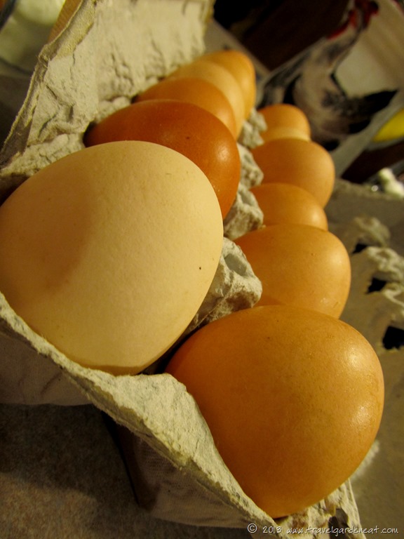 Locally Laid eggs