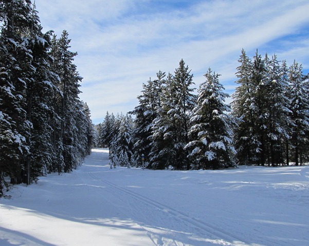 Start of Deja View trail, Rendezvous Trails