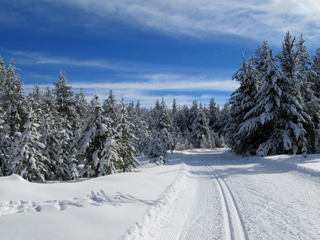 Deja View trail, Rendezvous Trails