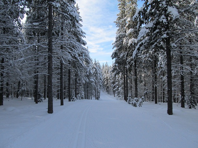 Deja View trail, Rendezvous Trails