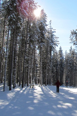 Rendezvous Trails, West Yellowstone
