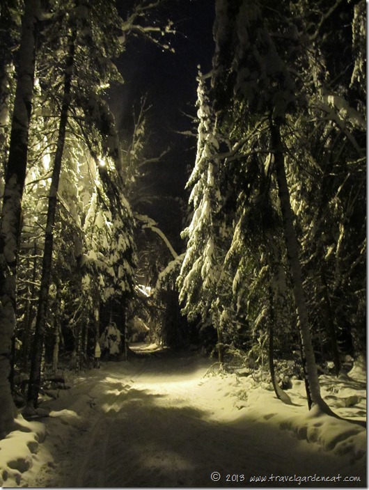 Night skiing in Duluth, Minnesota