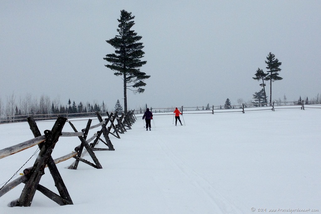 29/365 Recycled Treasures #yearofgratitude