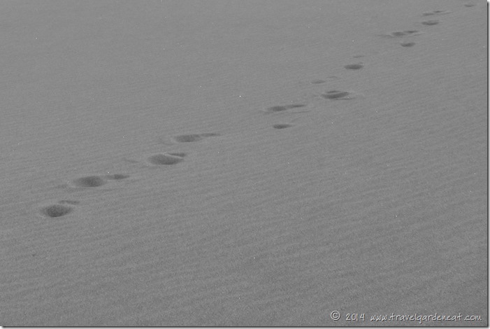 Footsteps in the ... black and white footprints