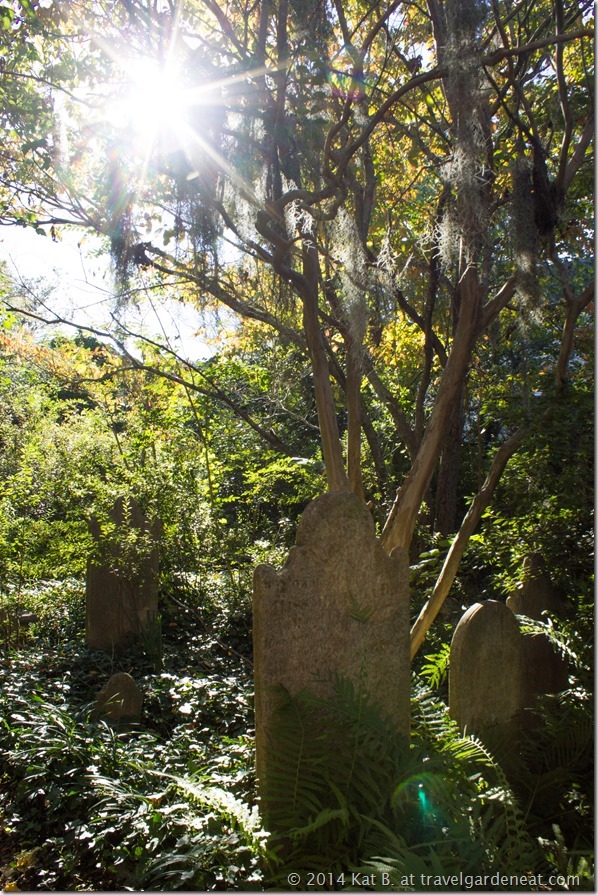 Charleston's Unitarian Cemetery