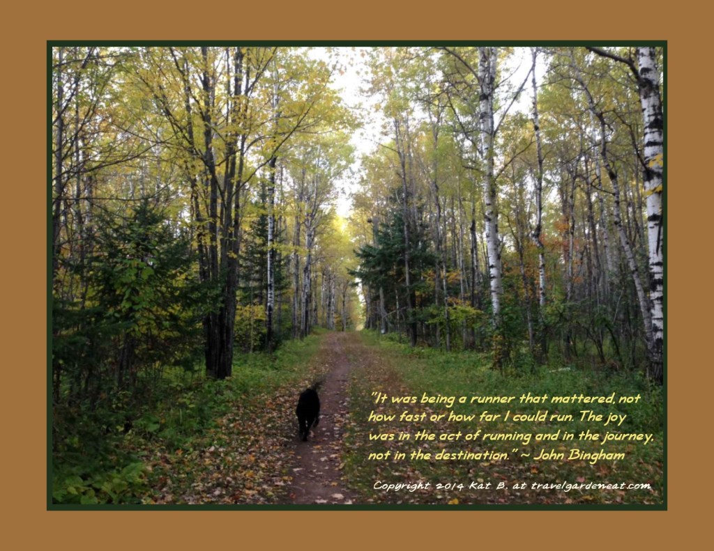 Joy of an Autumn Run