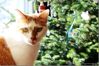 Cat by the Tree