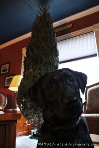 Puppy and the Christmas tree