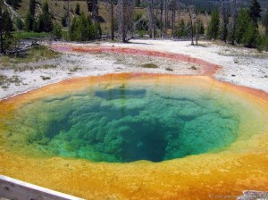 Yellowstone's Morning Glory Pool