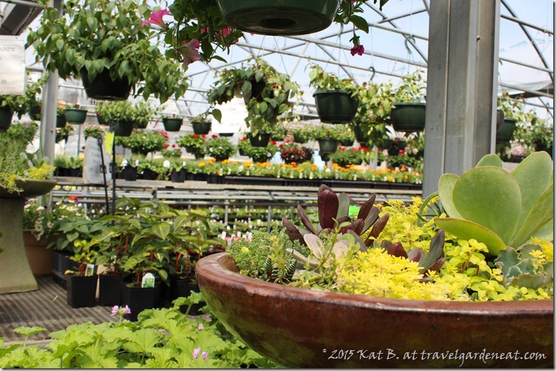 Byrns Greenhouse of Zim