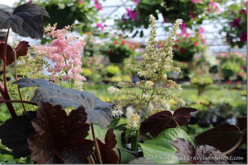 Byrns Greenhouse of Zim