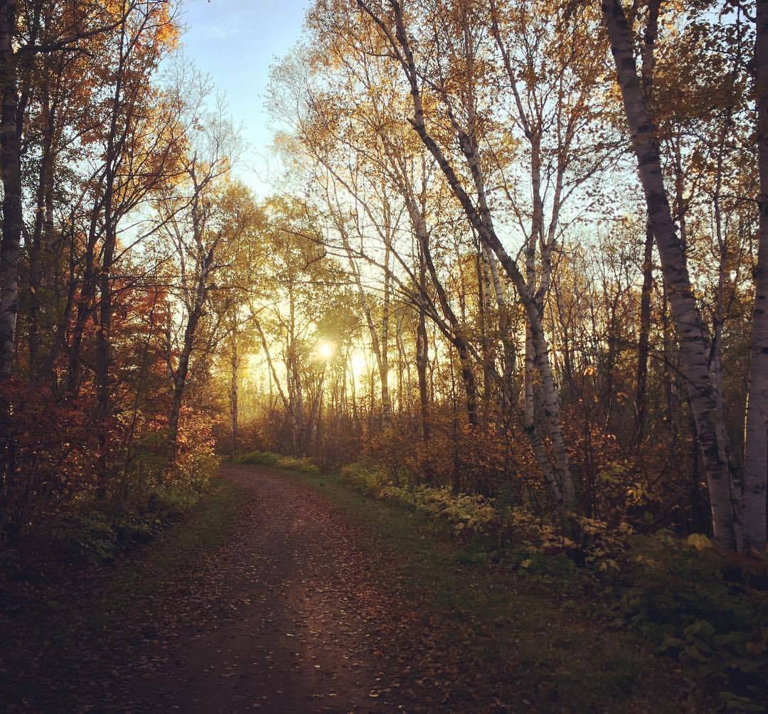Fall trail running in Duluth