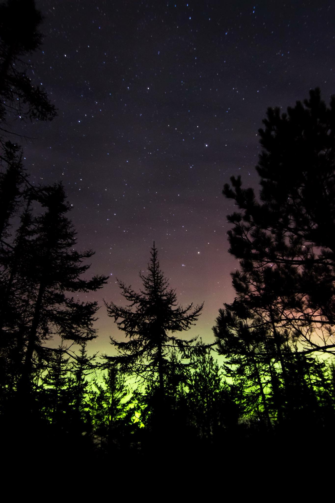 Northern lights in the Northern Minnesota sky
