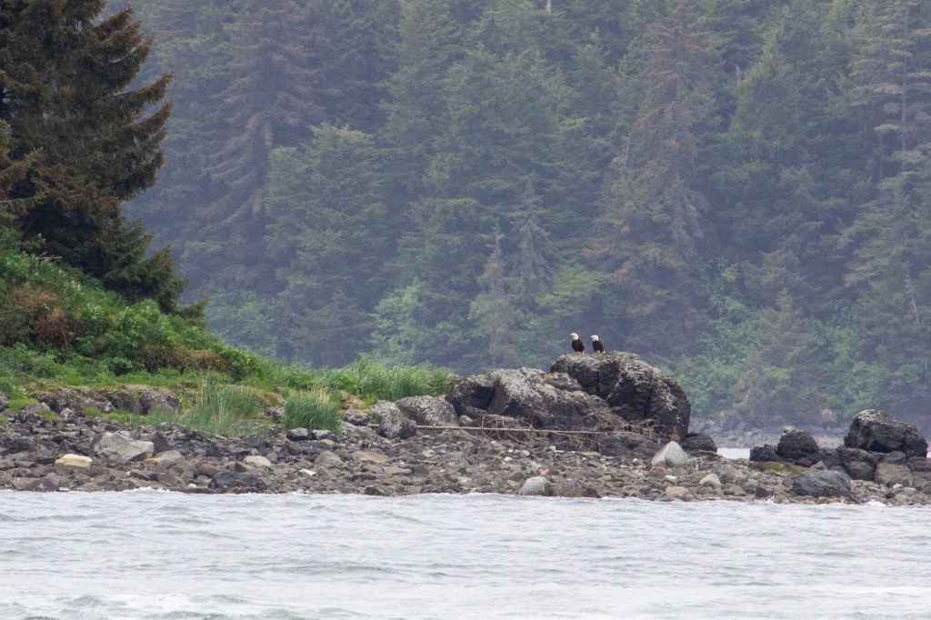 Final Day on the Water