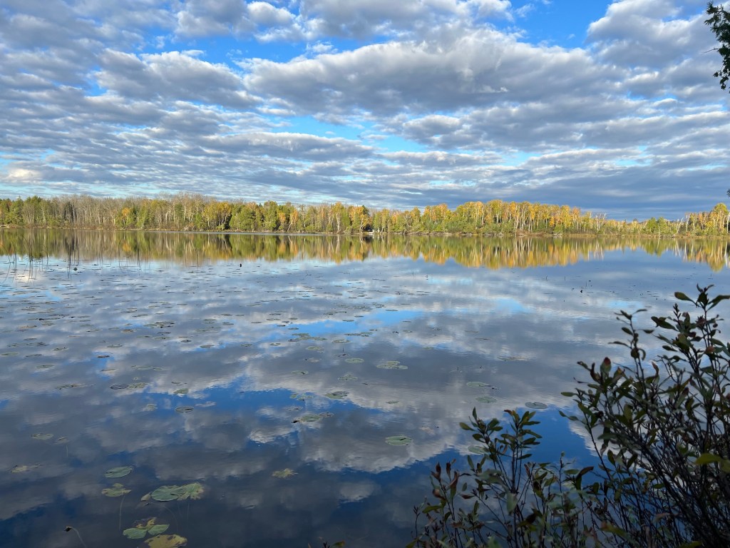 42/365 Postcard Mornings #yearofgratitude