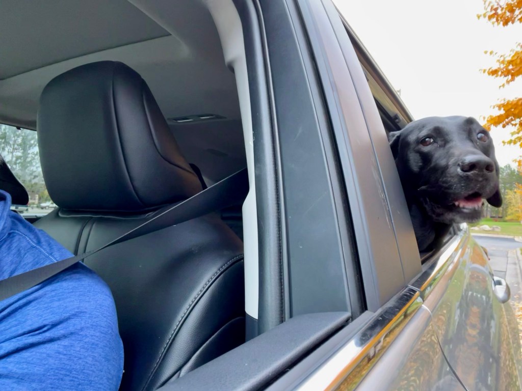 56/365 Anticipation #yearofgratitude