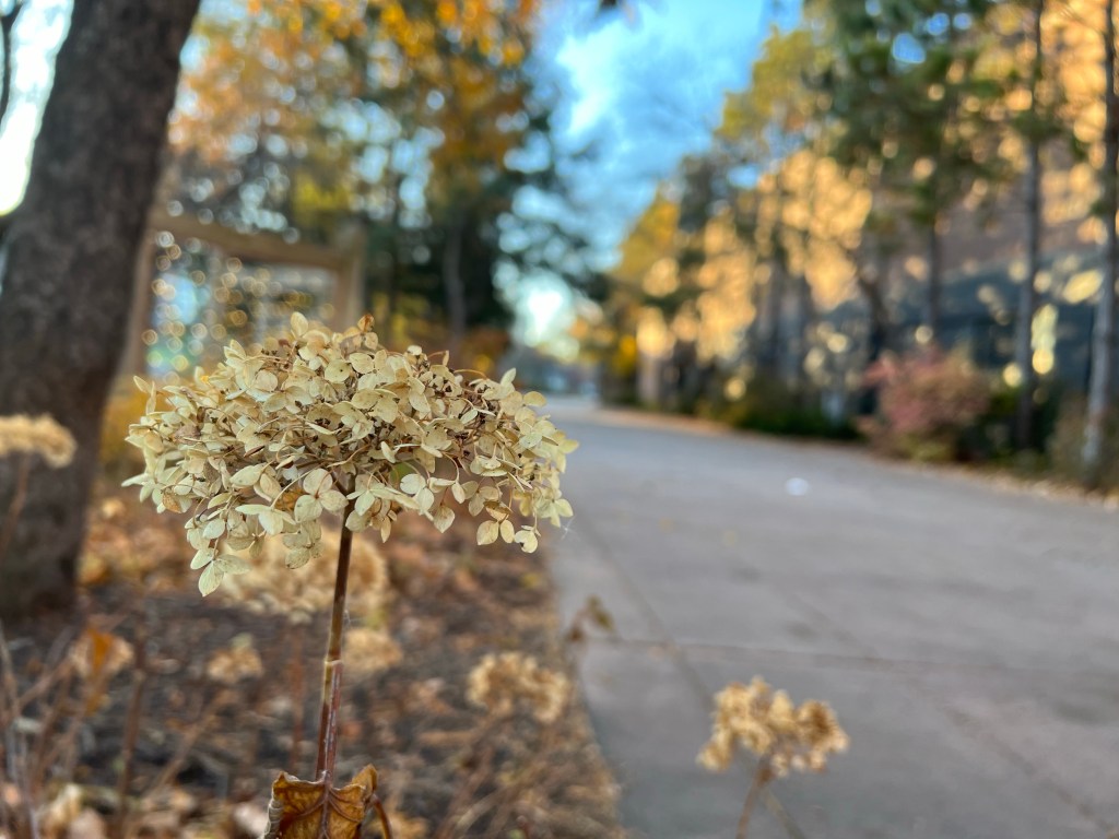 73/365 Fresh Start #yearofgratitude