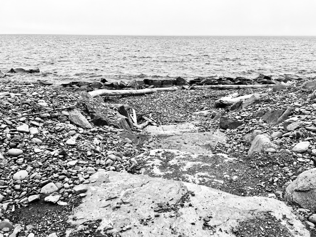 74/365 Friendship #yearofgratitude